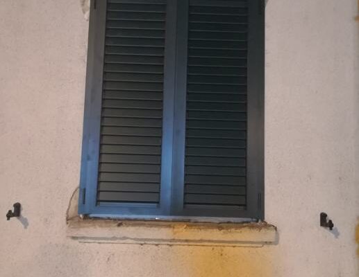 Smeđa fasadna grilja